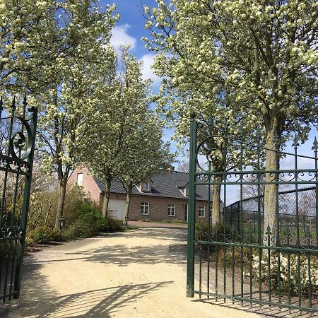 Vakantiewoning Pelterheggen Grote Heide Eksteriør billede