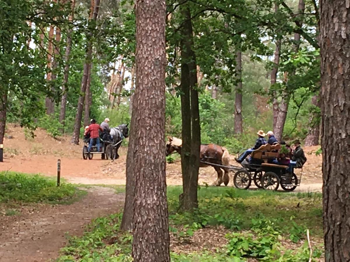 Vakantiewoning Pelterheggen Grote Heide Eksteriør billede