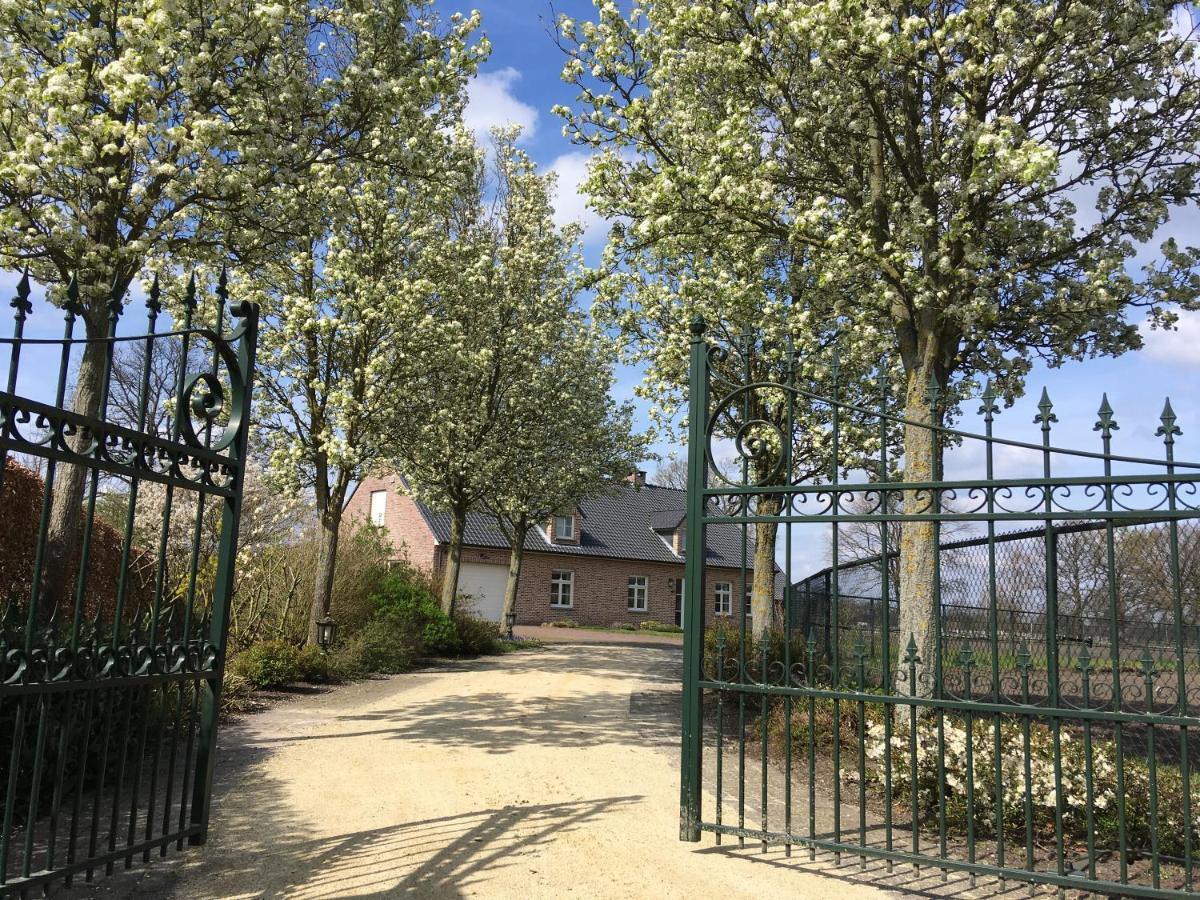 Vakantiewoning Pelterheggen Grote Heide Eksteriør billede