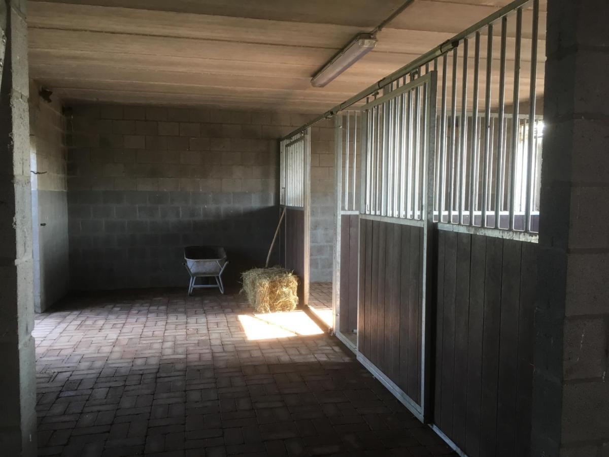 Vakantiewoning Pelterheggen Grote Heide Eksteriør billede